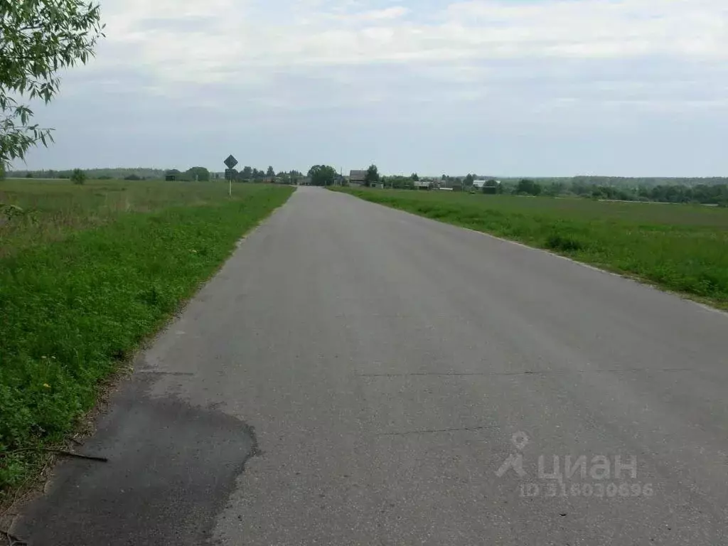 Участок в Владимирская область, Судогодский район, Муромцевское ... - Фото 0