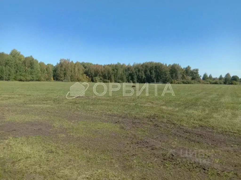 Участок в Тюменская область, Тюменский район, д. Зырянка  (304.0 сот.) - Фото 1