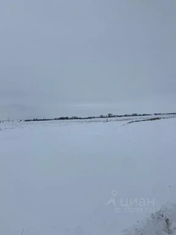 Участок в Волгоградская область, Городищенский район, Паньшинское ... - Фото 1