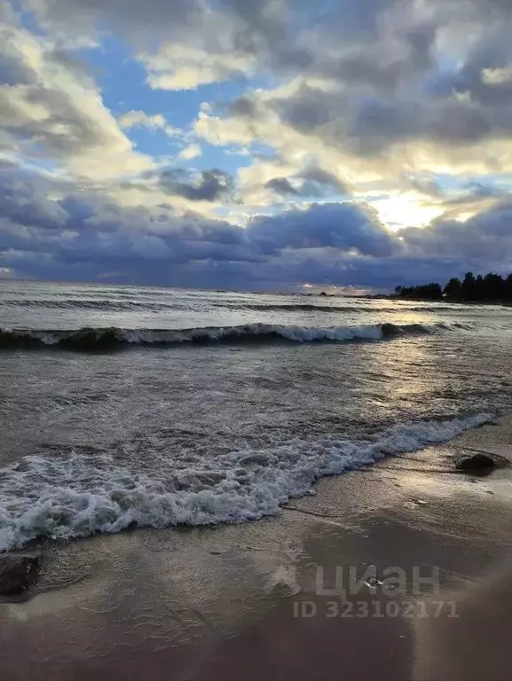Дом в Ленинградская область, Выборгский район, Приморское городское ... - Фото 2