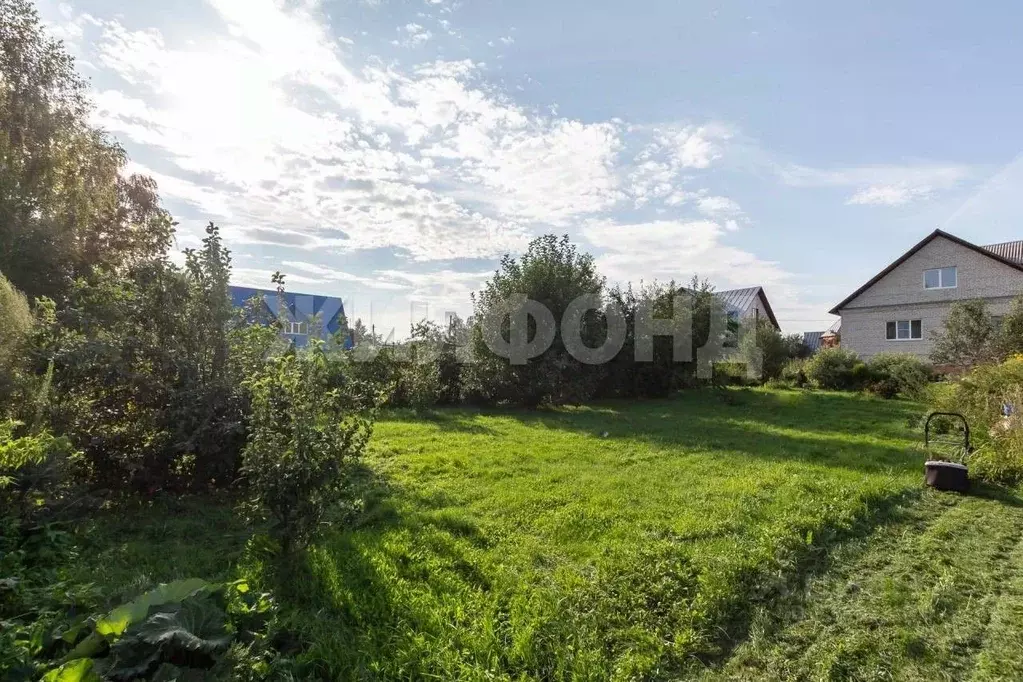 Участок в Алтайский край, Барнаул городской округ, с. Власиха ул. ... - Фото 1