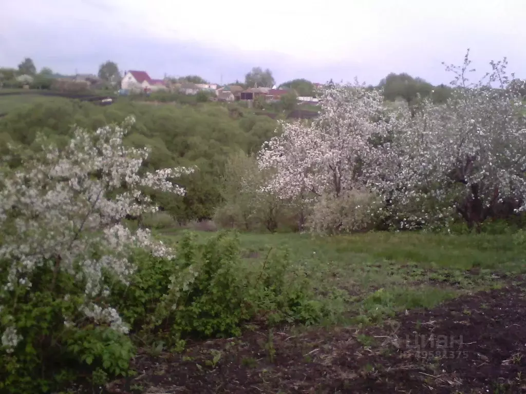 Участок в Тамбовская область, Кирсановский район, Уваровщинский ... - Фото 1