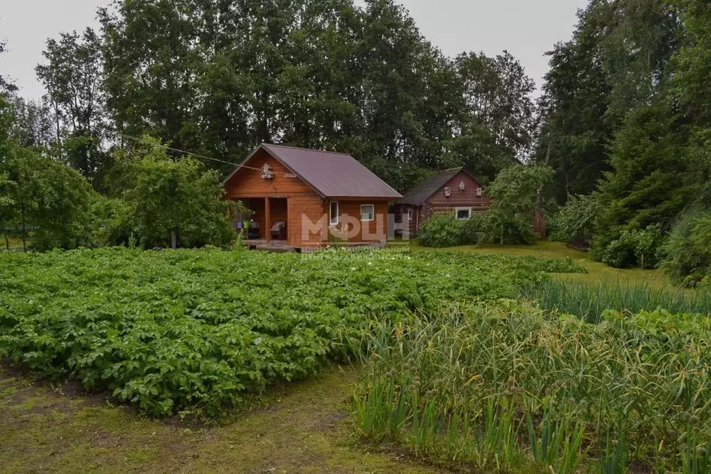 Дом в Карелия, Питкярантский муниципальный округ, д. Ряймяля  (134 м) - Фото 2
