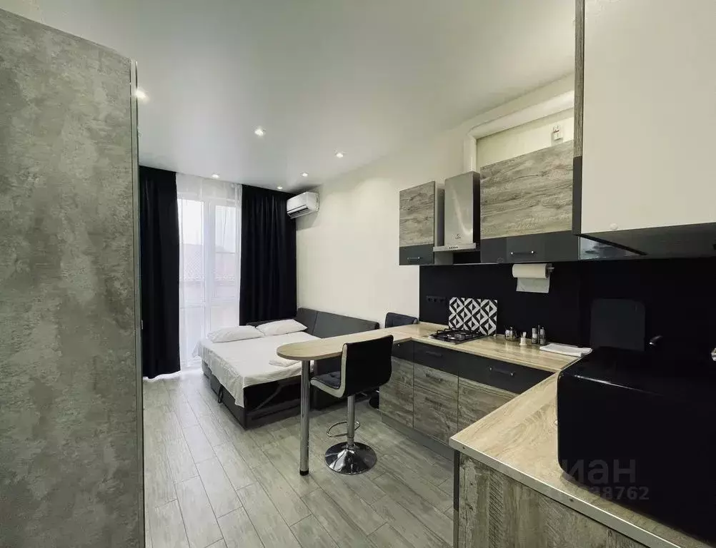 Студия Краснодарский край, Сириус пгт ул. Тростниковая, 35 (20.0 м) - Фото 1
