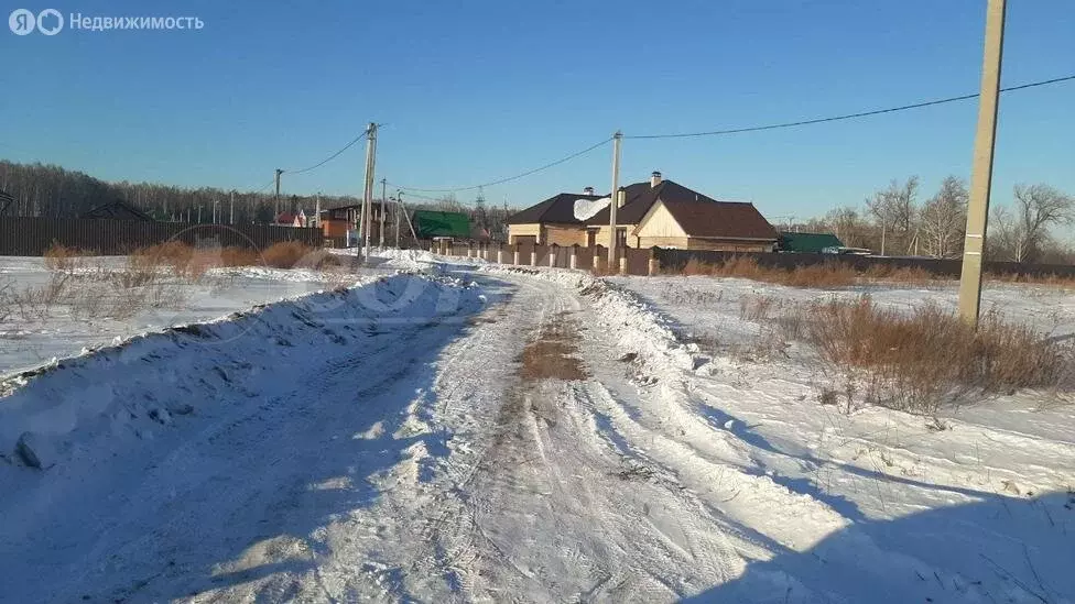 Участок в Тюменский район, деревня Молчанова (10 м) - Фото 0