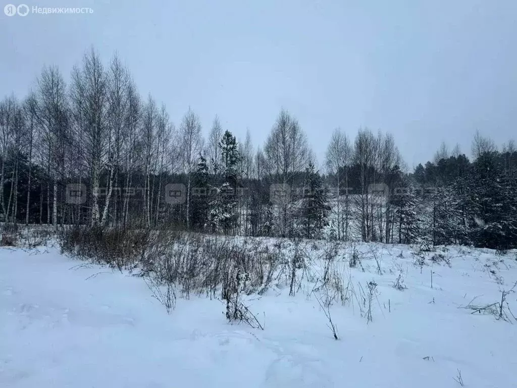 Участок в Казань, Белозёрская улица, 35 (14 м) - Фото 2