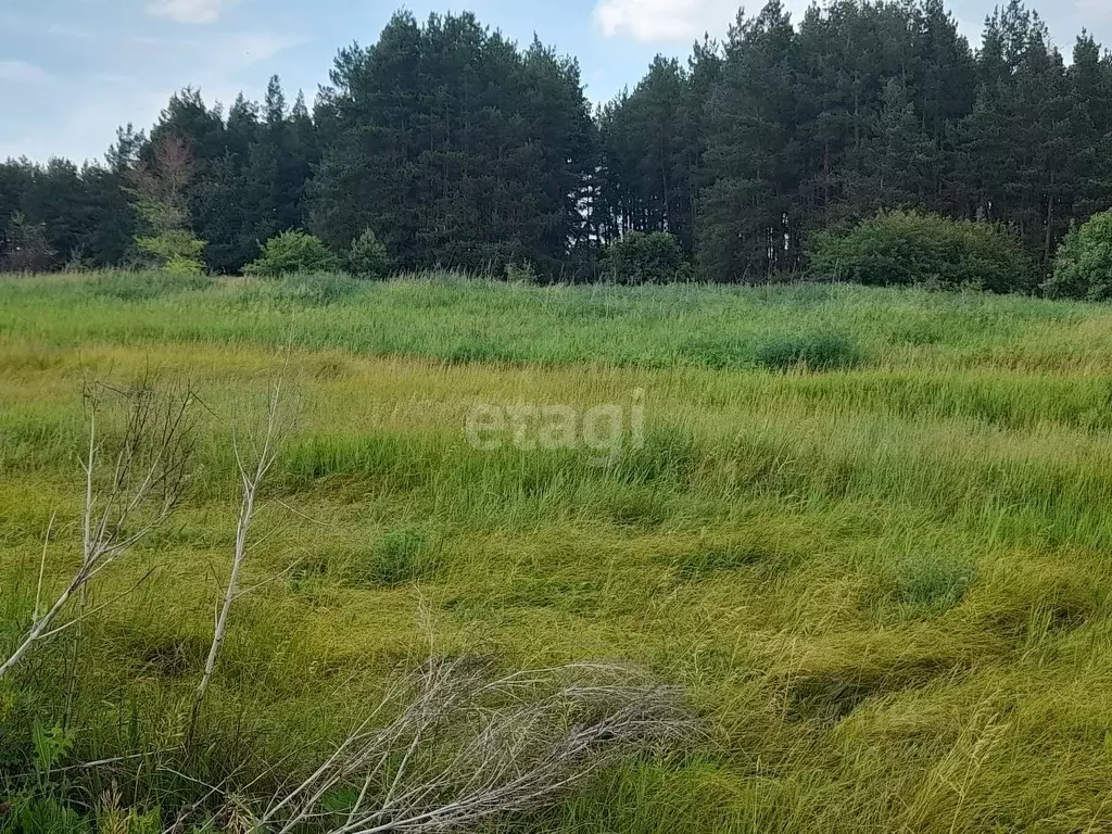Участок в Саратовская область, Балашовский район, с. Большой Мелик ... - Фото 1