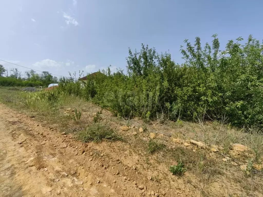 Участок в Ростовская область, Родионово-Несветайский район, ... - Фото 0
