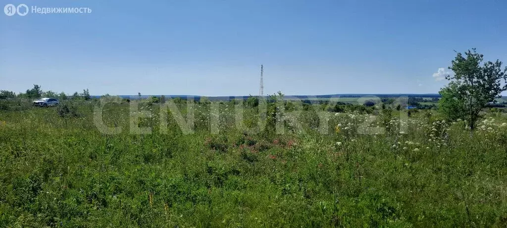 Участок в Ульяновский район, село Тетюшское (18 м) - Фото 2