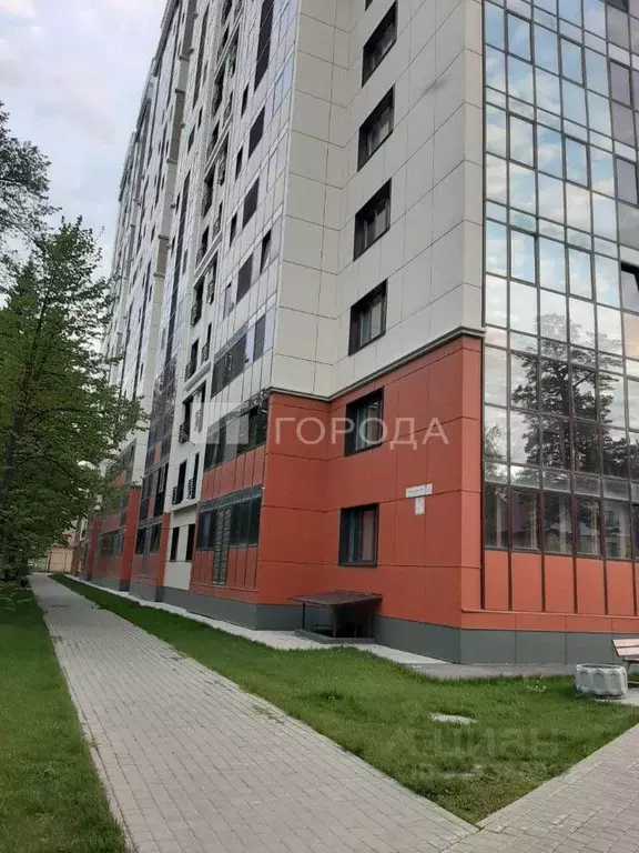 Студия Алтайский край, Барнаул тракт Змеиногорский, 82 (24.6 м) - Фото 0