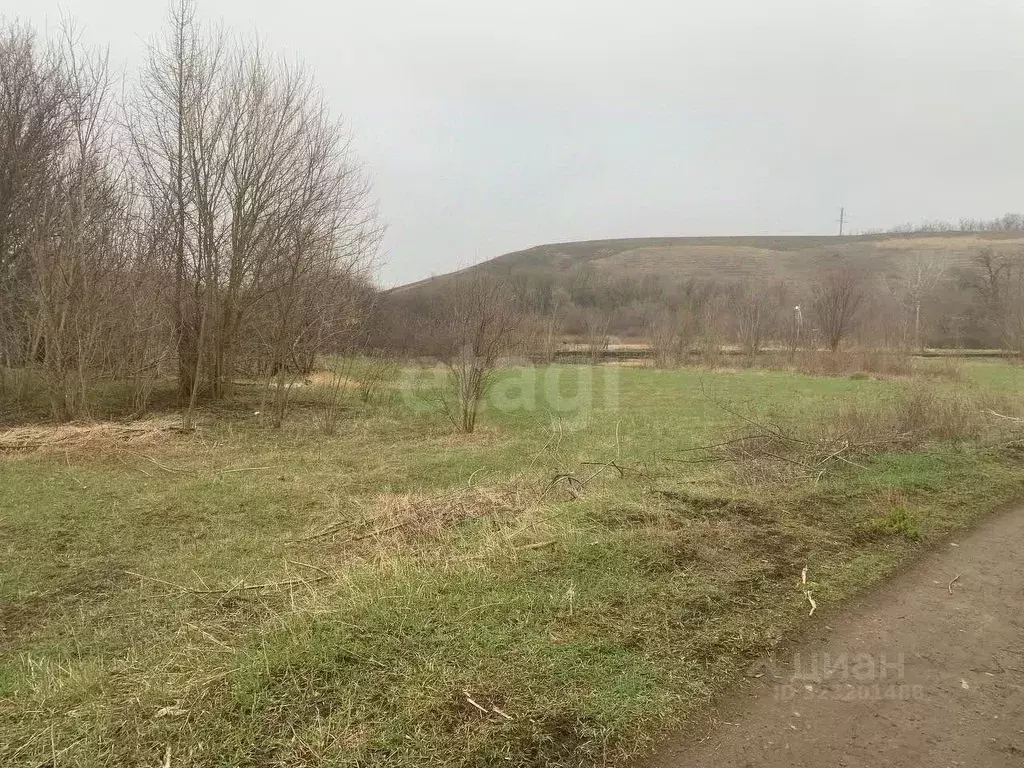 Участок в Ростовская область, Аксайский район, Ольгинское с/пос, Махин ... - Фото 2