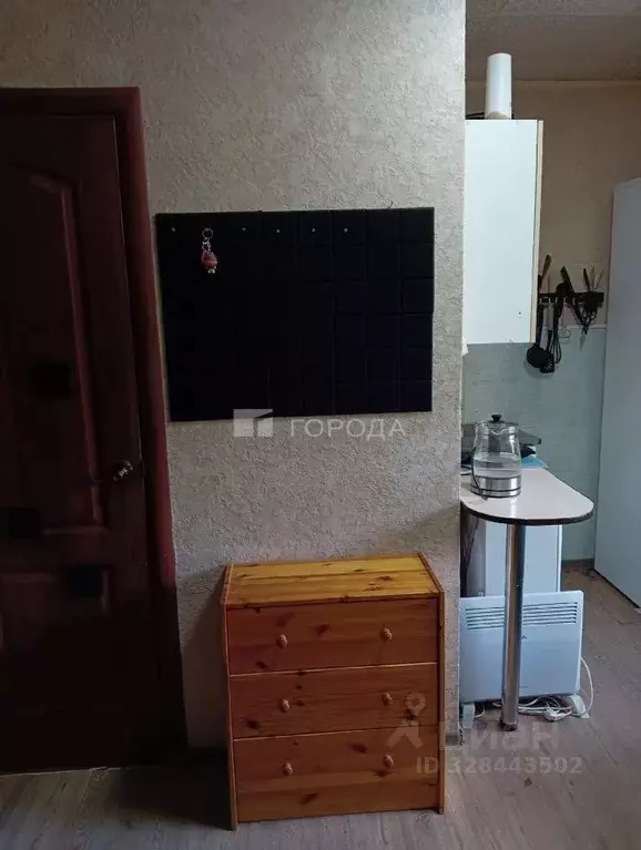 Студия Новосибирская область, Новосибирск Каменская ул., 26 (13.4 м) - Фото 1
