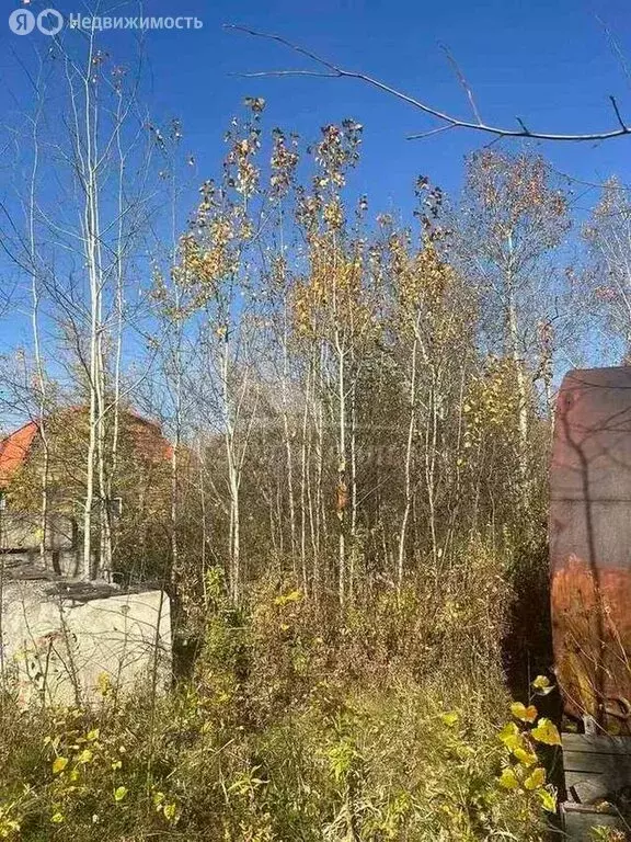 Участок в Тюмень, СНТ Берёзка, 6-я Садовая улица (10.5 м) - Фото 0