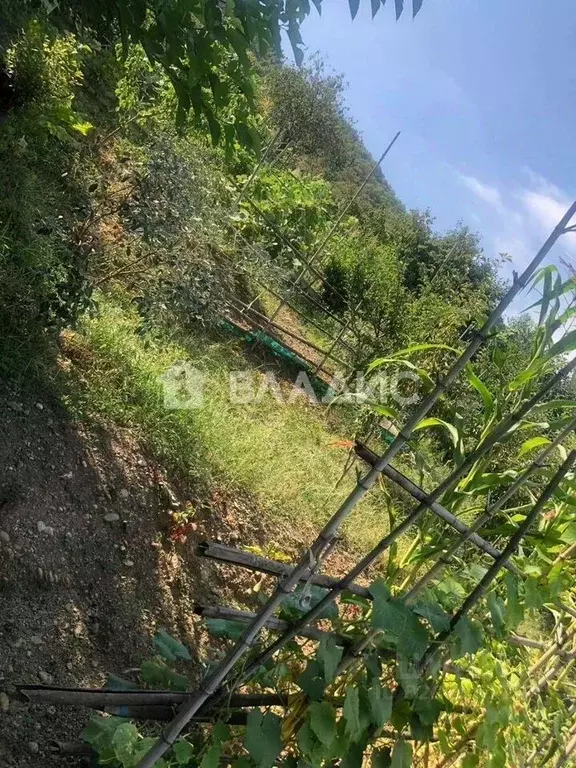 Участок в Краснодарский край, Сочи городской округ, с. Веселое ул. ... - Фото 1