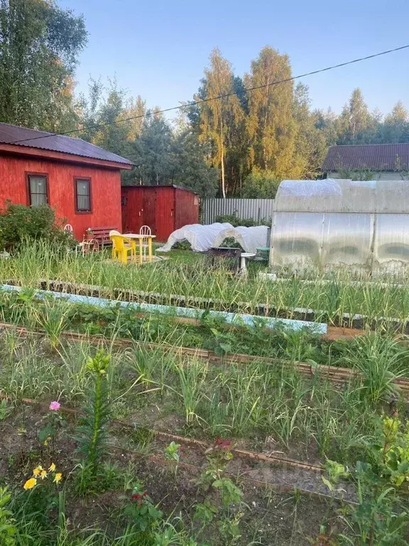 Дом в Тверская область, Конаковский муниципальный округ, Солнечный СНТ ... - Фото 1