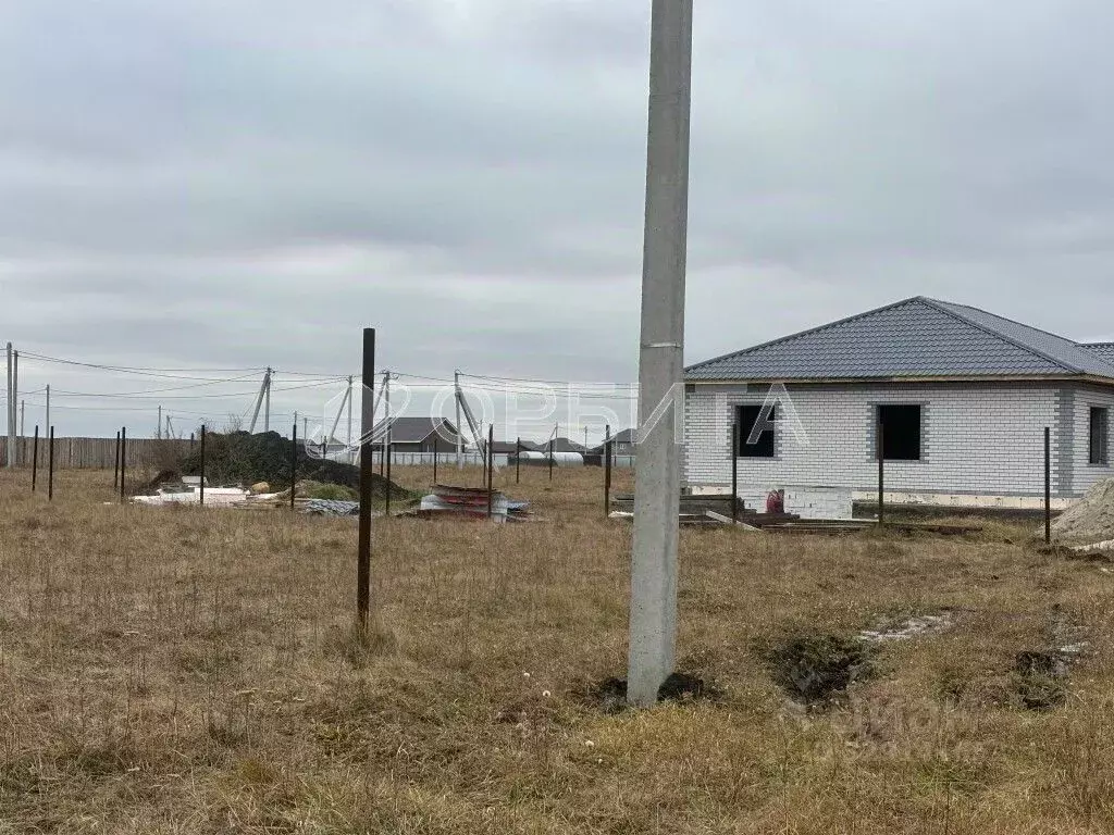 Участок в Тюменская область, Тюменский муниципальный округ, с. Чикча ... - Фото 1