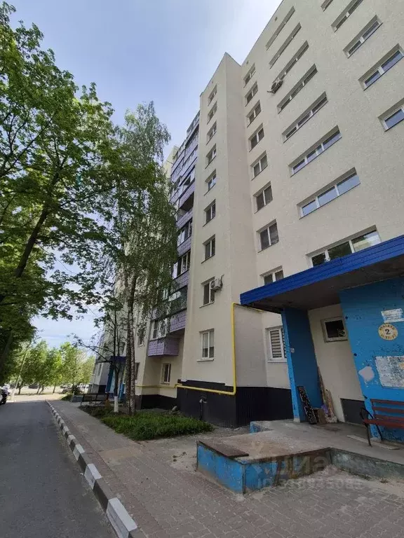 3-к кв. Белгородская область, Белгород ул. Губкина, 24к1 (58.2 м) - Фото 0