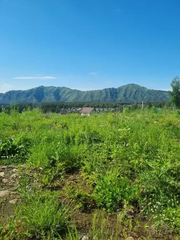 Участок в Алтай, Майминский район, Манжерокское с/пос, с. Озерное ул. ... - Фото 2