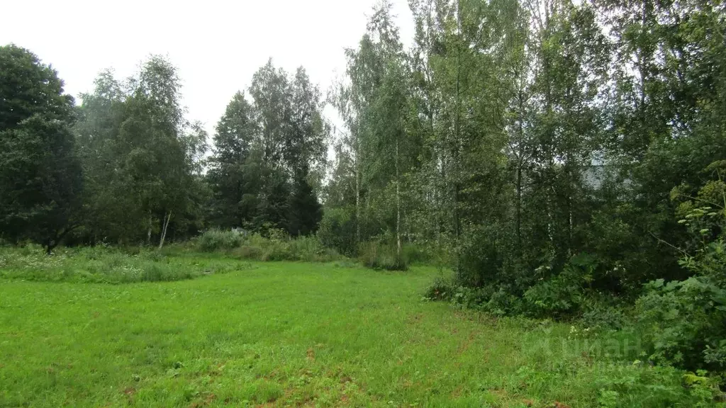 Участок в Московская область, Рузский муниципальный округ, д. ... - Фото 2