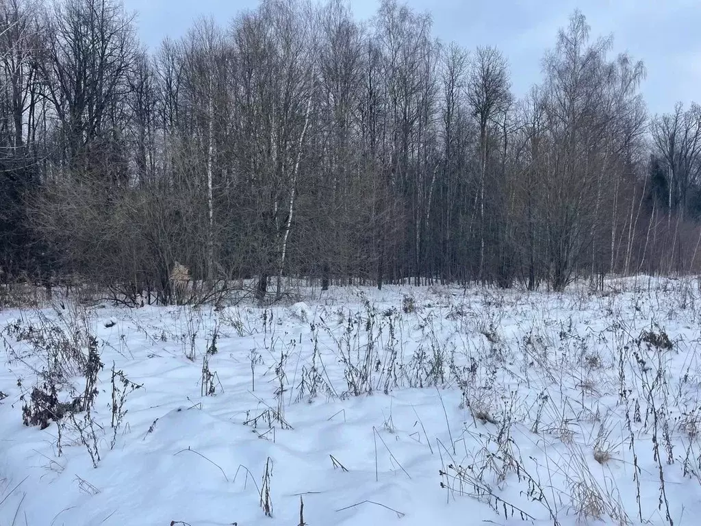 Участок в Московская область, Серпухов городской округ, д. Всходы  ... - Фото 0