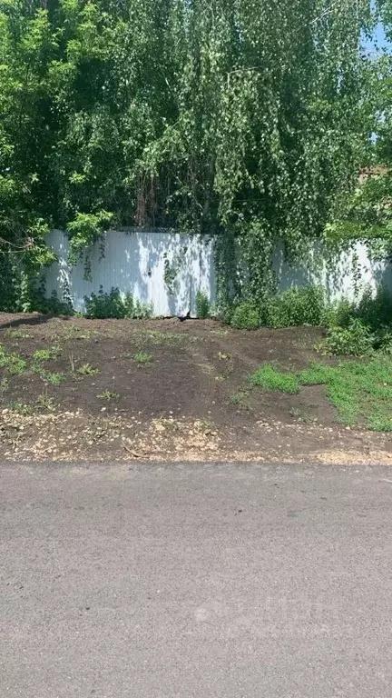 Участок в Орловская область, Орел ул. 1-я Пушкарная, 128 (10.0 сот.) - Фото 1