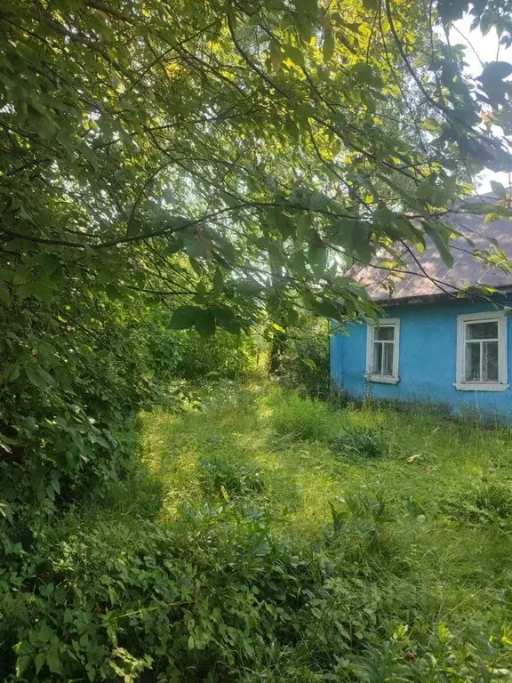 Участок в Ленинградская область, Гатчинский район, д. Малая Ивановка 9 ... - Фото 0