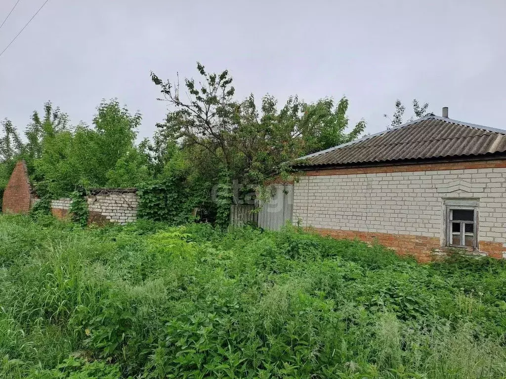 Дом в Белгородская область, Валуйский городской округ, с. Двулучное ... - Фото 1