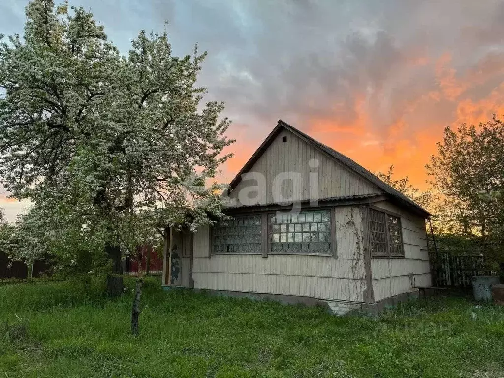 Дом в Брянская область, Брянск Лужаны-1 со, 22 (36 м) - Фото 2