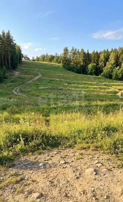 Участок в Ленинградская область, Выборгский район, Полянское с/пос, ... - Фото 1