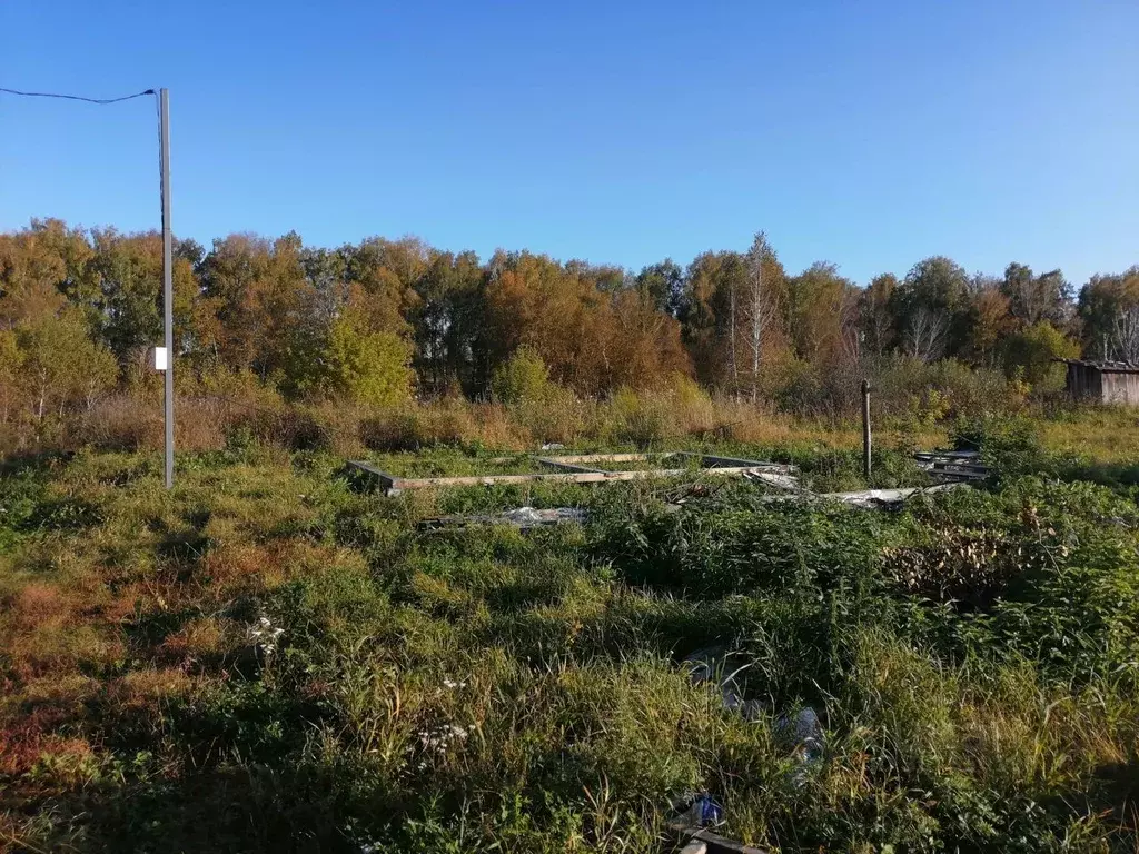 Участок в Новосибирская область, Бердск Марьин Лог СНТ, ул. 32-я (6.0 ... - Фото 0