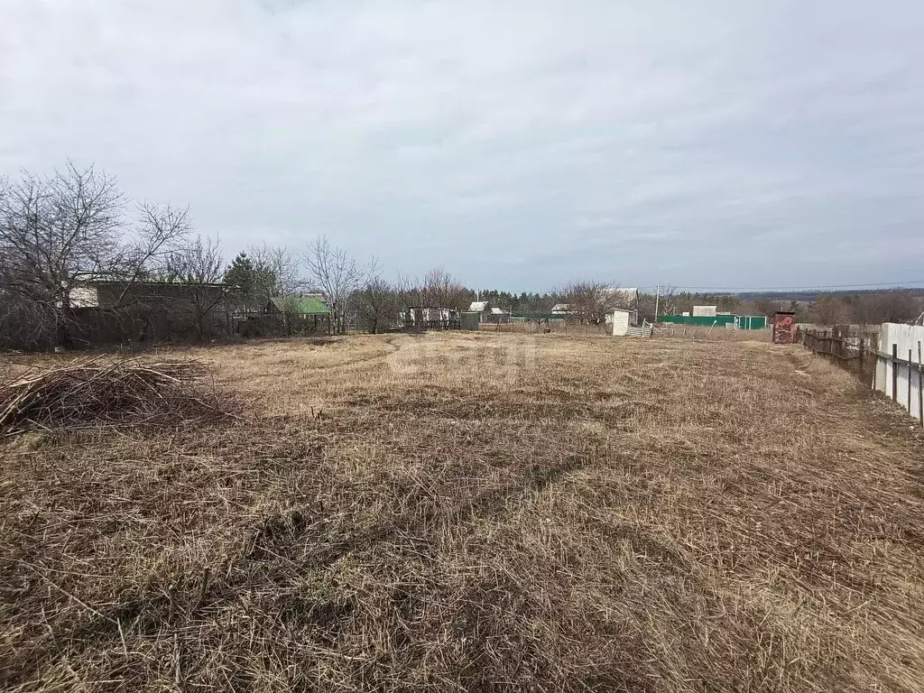 Участок в Белгородская область, Яковлевский муниципальный округ, Нива ... - Фото 0