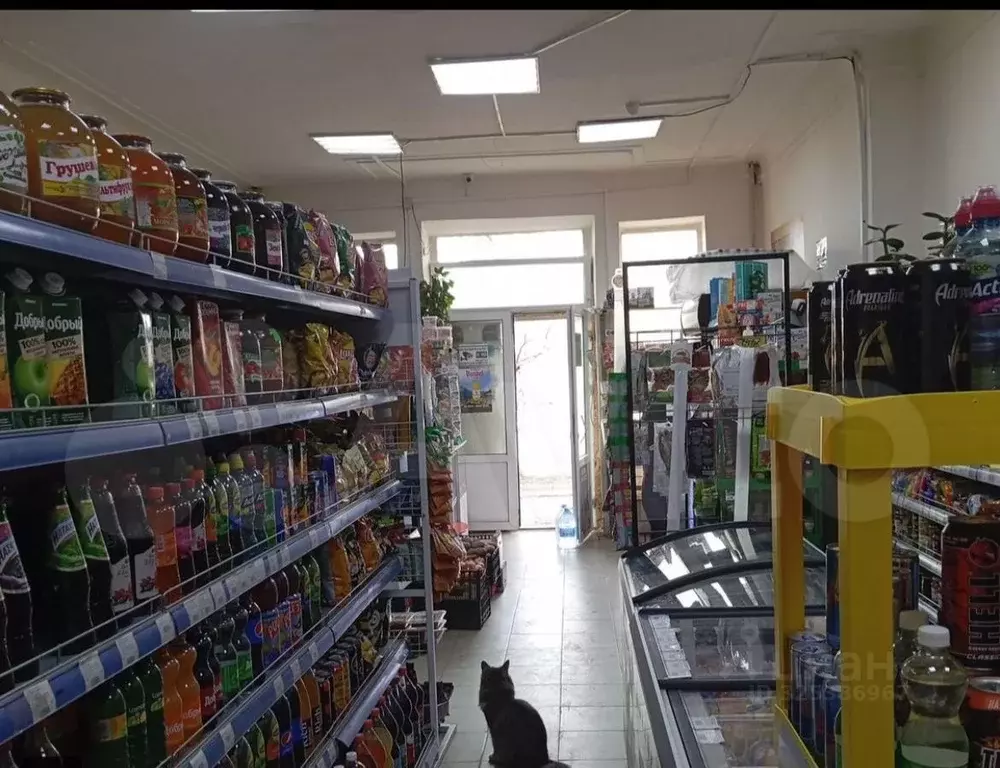 Торговая площадь в Санкт-Петербург просп. Обуховской обороны, 287К1 ... - Фото 2