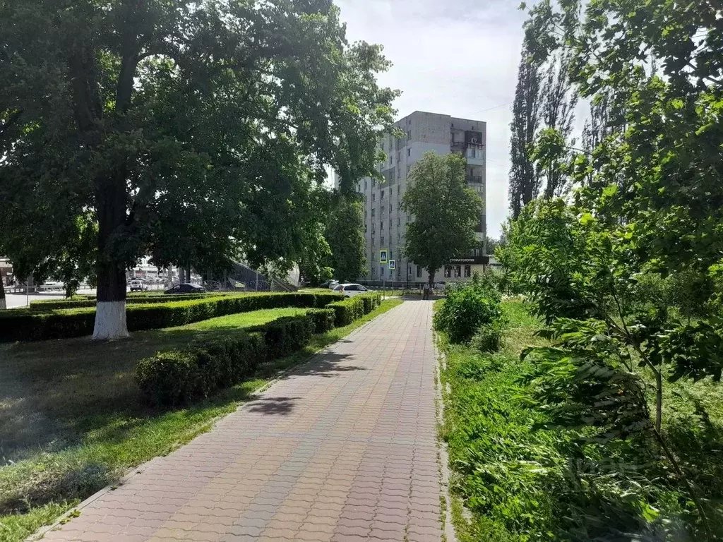 Помещение свободного назначения в Белгородская область, Старый Оскол ... - Фото 1