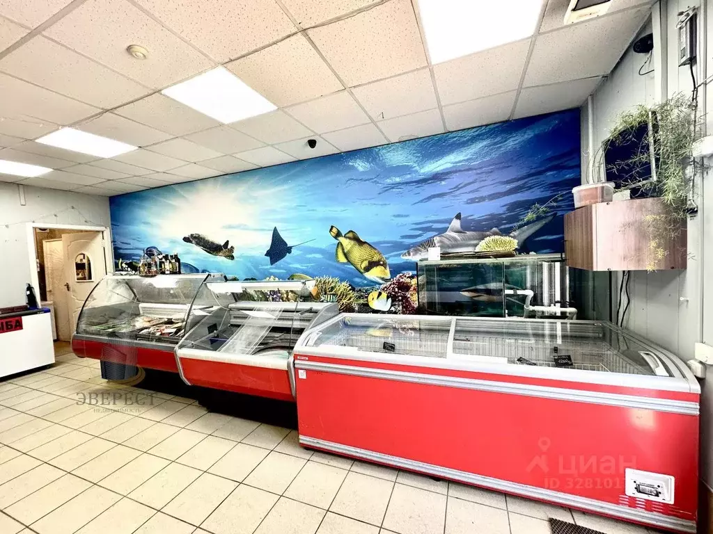 Торговая площадь в Московская область, Королев Болшево мкр, ... - Фото 2