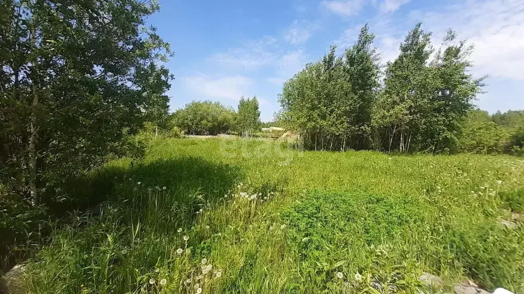 Участок в Тюменская область, Тюмень Поляна садовое общество, ул. ... - Фото 2