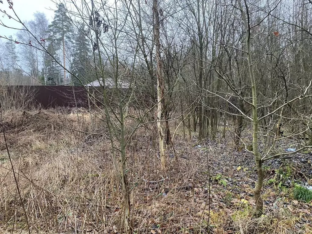 Участок в Московская область, Лосино-Петровский городской округ, д. ... - Фото 0