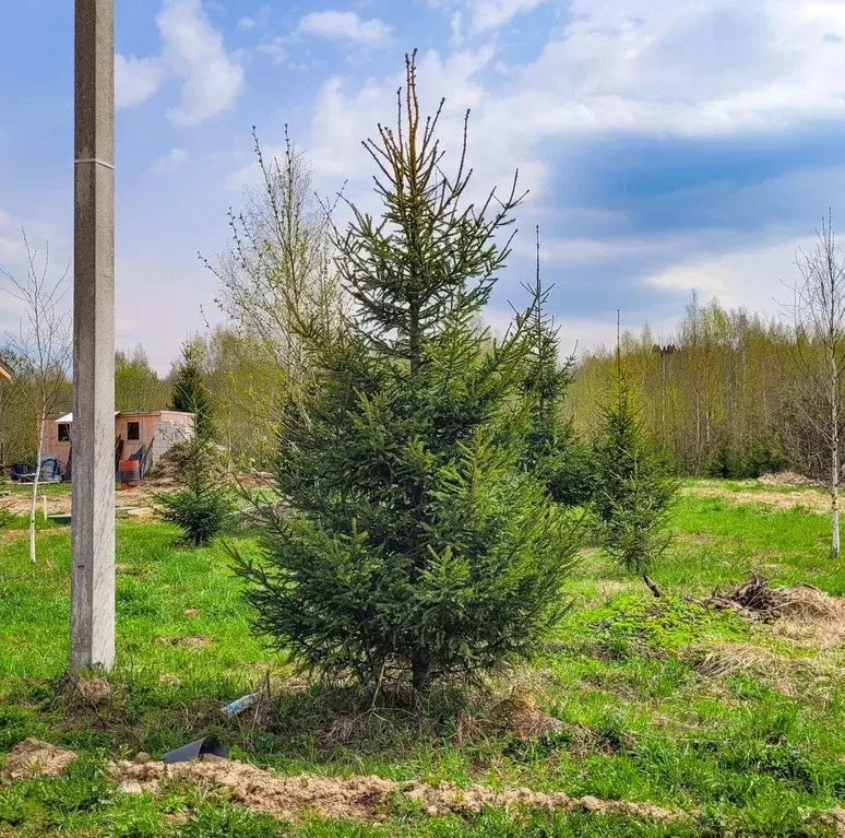 Участок, 8.6 сот., поселения (ижс) - Фото 1