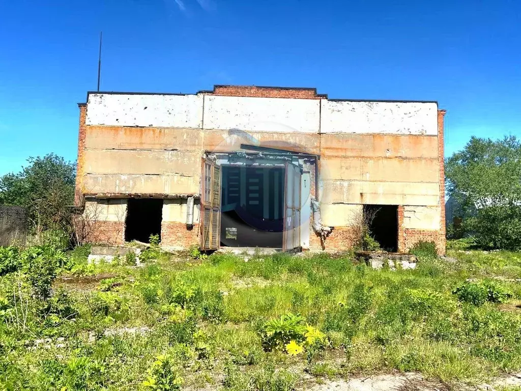 Склад в Московская область, Электросталь городской округ, пос. ... - Фото 0