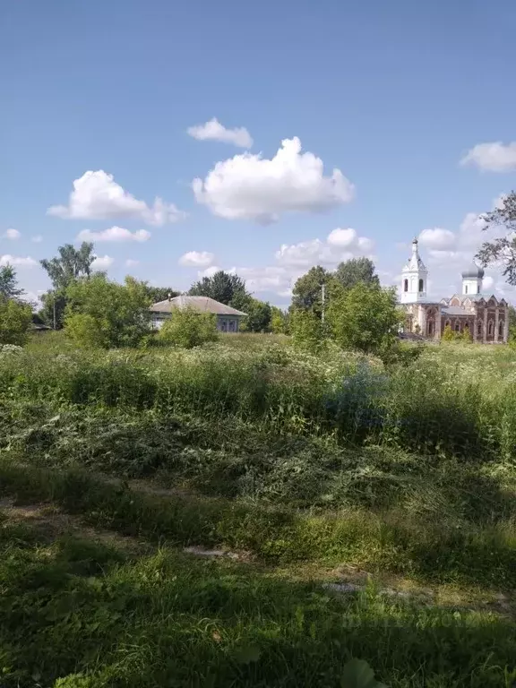 Дом в Нижегородская область, Богородский муниципальный округ, с. ... - Фото 0