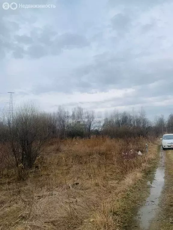 Участок в Хабаровск, Берёзовское шоссе (7.3 м) - Фото 1