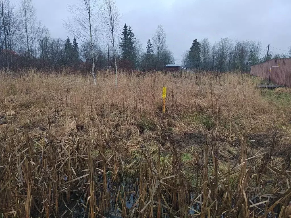 Участок в Ленинградская область, Любань Тосненский район,  (9.0 сот.) - Фото 2