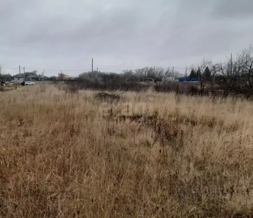 Участок в Воронежская область, Каширский район, Колодезянское с/пос, ... - Фото 2