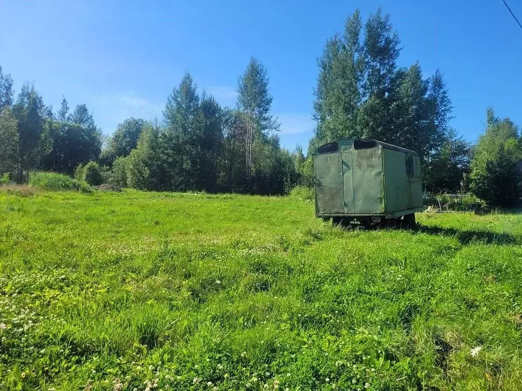 Участок в Ленинградская область, Ломоносовский район, Лебяженское ... - Фото 2