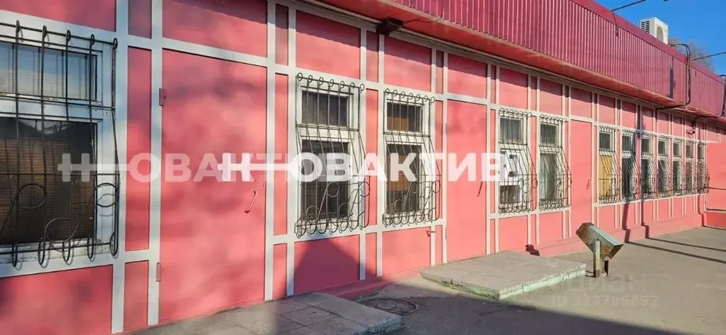 Помещение свободного назначения в Новосибирская область, Новосибирск ... - Фото 1