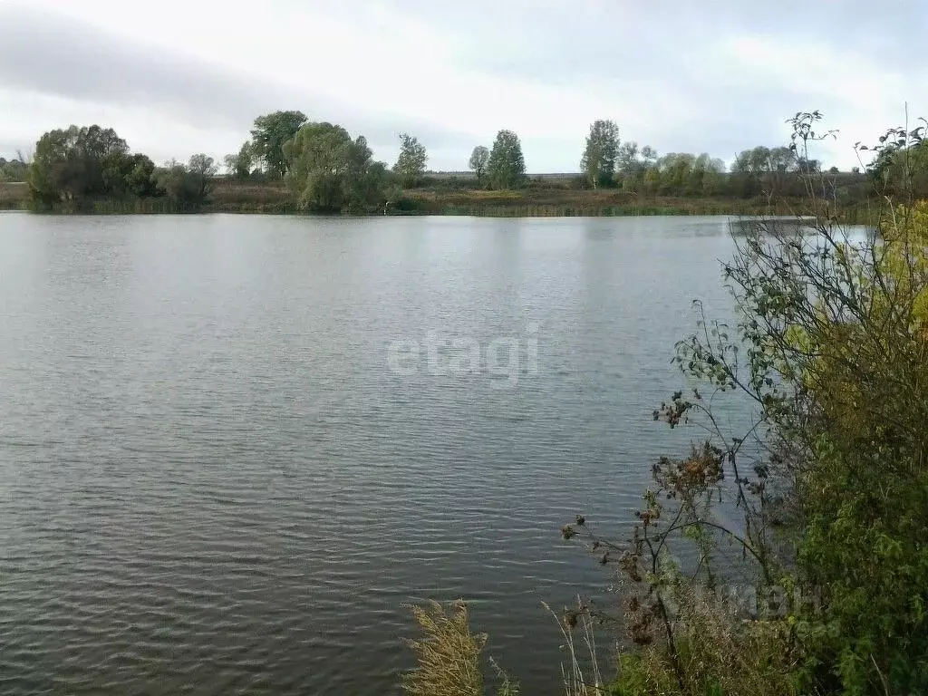 Участок в Брянская область, Карачевский район, Вельяминовское с/пос, ... - Фото 1