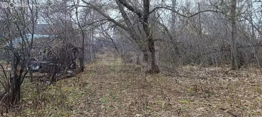 Участок в Кимовский район, сельское поселение Новольвовское, деревня ... - Фото 1
