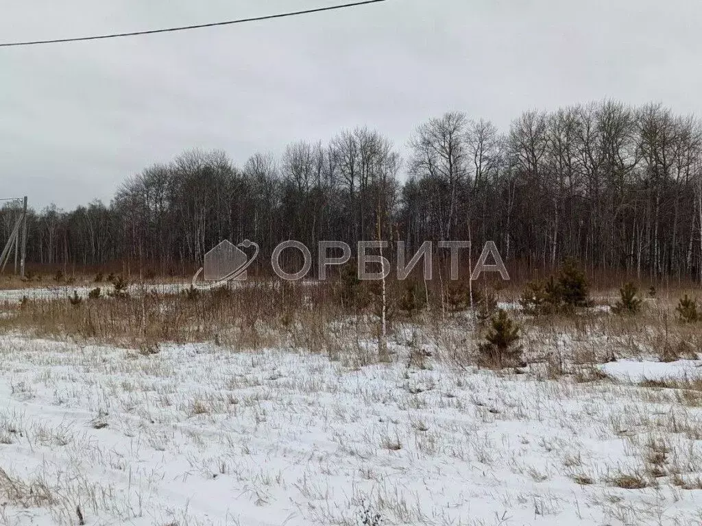 Участок в Тюменская область, Тюменский район, с. Кулига  (7.0 сот.) - Фото 0