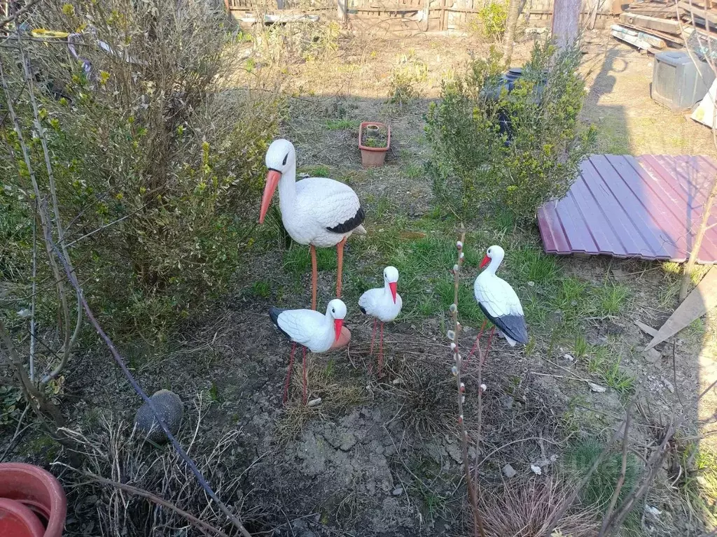 Дом в Краснодарский край, Хадыженск Апшеронский район, ул. Зои ... - Фото 2