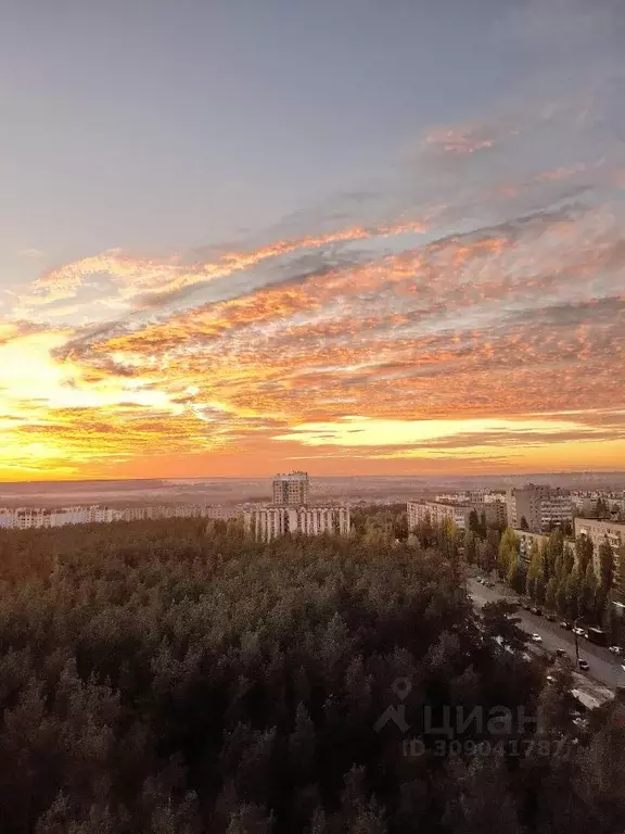 3-к кв. Воронежская область, Воронеж Южно-Моравская ул., 21 (64.3 м) - Фото 1