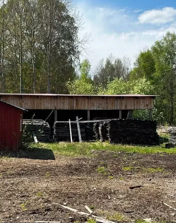 Участок в Томская область, с. Молчаново пер. Полевой (16.0 сот.) - Фото 1